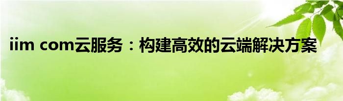 iim com云服务：构建高效的云端解决方案