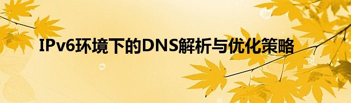 IPv6环境下的DNS解析与优化策略