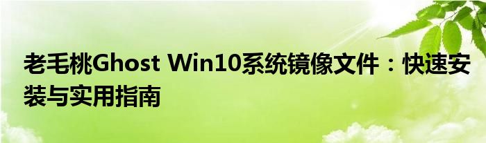 老毛桃Ghost Win10系统镜像文件：快速安装与实用指南