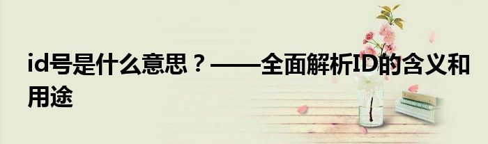 id号是什么意思？——全面解析ID的含义和用途