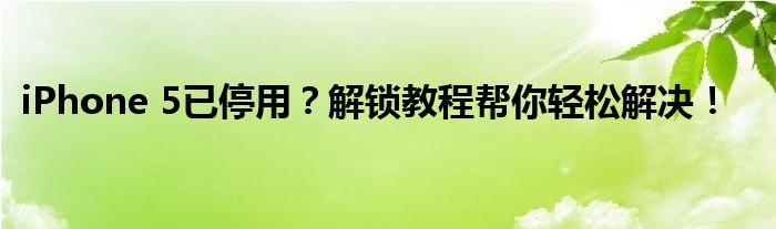 iPhone 5已停用？解锁教程帮你轻松解决！