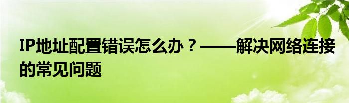 IP地址配置错误怎么办？——解决网络连接的常见问题