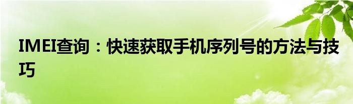 IMEI查询：快速获取手机序列号的方法与技巧