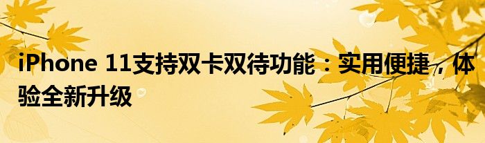 iPhone 11支持双卡双待功能：实用便捷，体验全新升级
