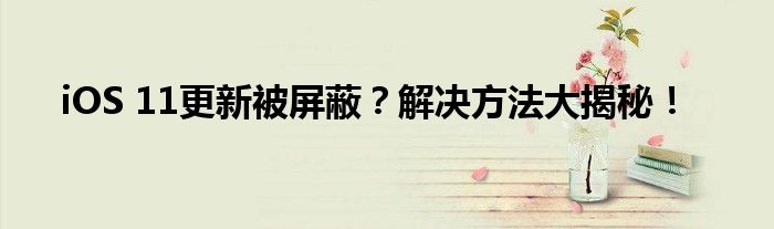 iOS 11更新被屏蔽？解决方法大揭秘！