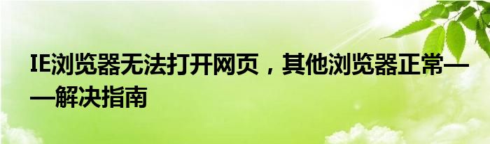 IE浏览器无法打开网页，其他浏览器正常——解决指南