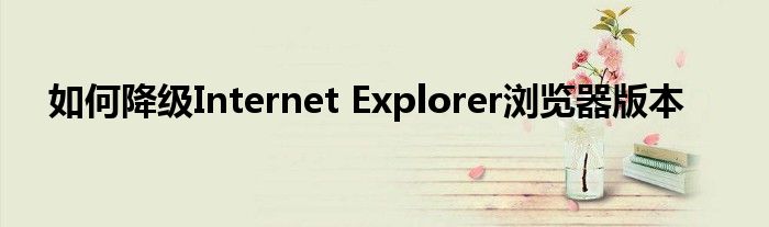 如何降级Internet Explorer浏览器版本