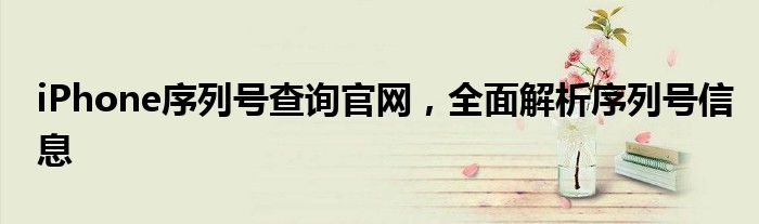 iPhone序列号查询官网，全面解析序列号信息
