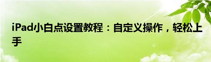 iPad小白点设置教程：自定义操作，轻松上手
