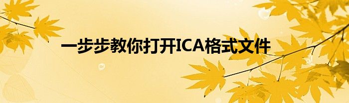 一步步教你打开ICA格式文件