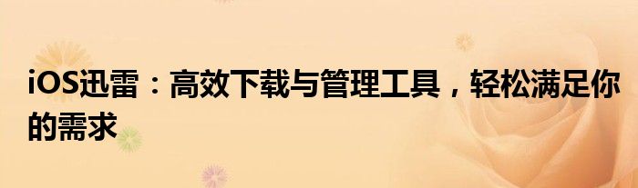 iOS迅雷：高效下载与管理工具，轻松满足你的需求