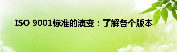 ISO 9001标准的演变：了解各个版本