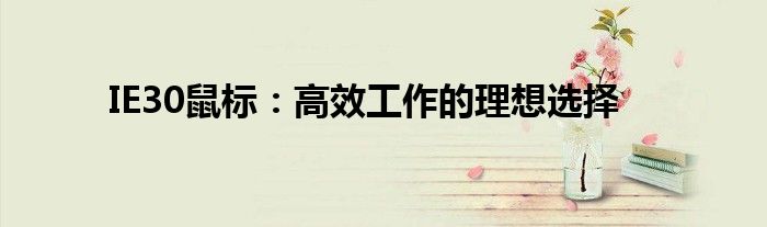 IE30鼠标：高效工作的理想选择