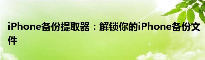 iPhone备份提取器：解锁你的iPhone备份文件