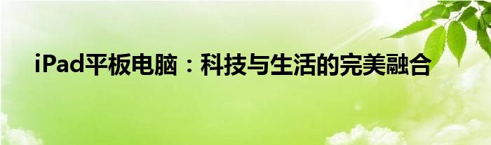 iPad平板电脑：科技与生活的完美融合