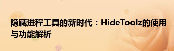 隐藏进程工具的新时代：HideToolz的使用与功能解析