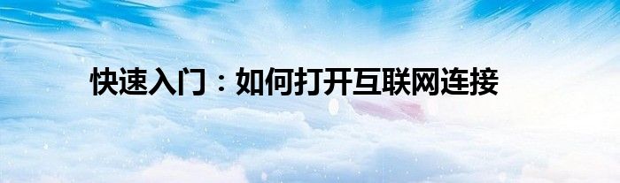 快速入门：如何打开互联网连接