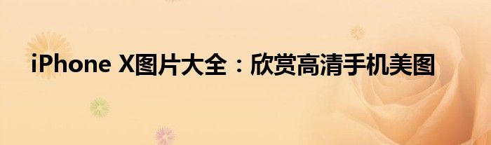 iPhone X图片大全：欣赏高清手机美图