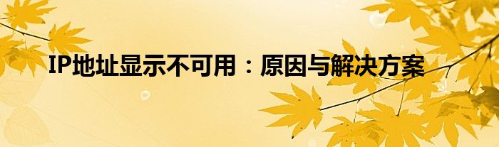 IP地址显示不可用：原因与解决方案
