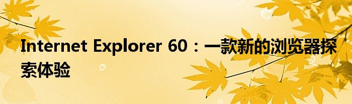 Internet Explorer 60：一款新的浏览器探索体验