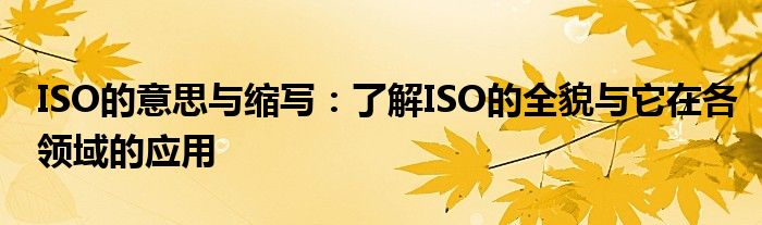 ISO的意思与缩写：了解ISO的全貌与它在各领域的应用