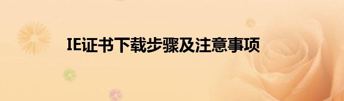 IE证书下载步骤及注意事项