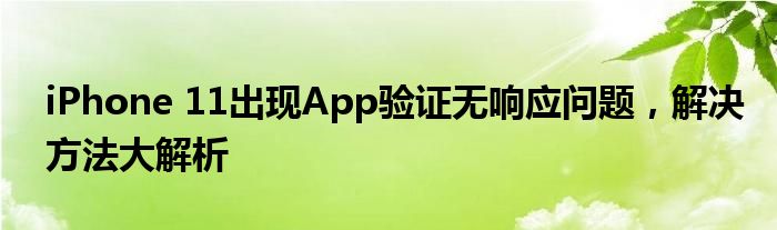 iPhone 11出现App验证无响应问题，解决方法大解析