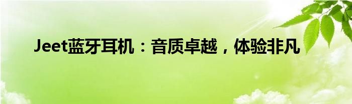 Jeet蓝牙耳机：音质卓越，体验非凡