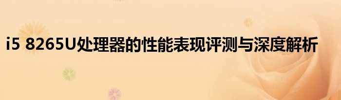 i5 8265U处理器的性能表现评测与深度解析