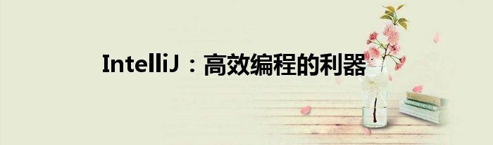 IntelliJ：高效编程的利器