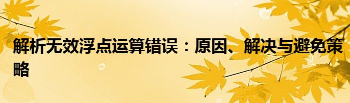 解析无效浮点运算错误：原因、解决与避免策略