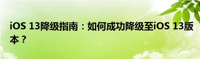 iOS 13降级指南：如何成功降级至iOS 13版本？