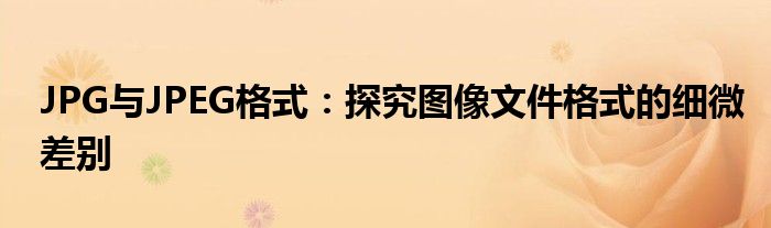 JPG与JPEG格式：探究图像文件格式的细微差别