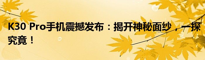 K30 Pro手机震撼发布：揭开神秘面纱，一探究竟！