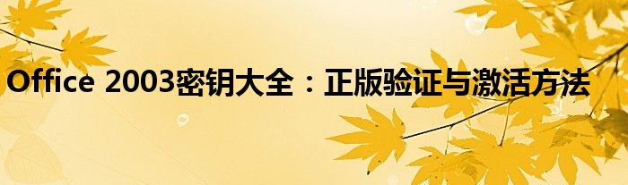 Office 2003密钥大全：正版验证与激活方法