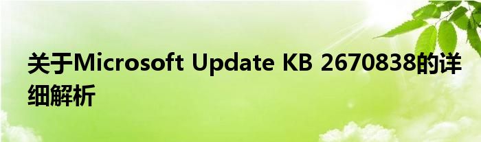 关于Microsoft Update KB 2670838的详细解析