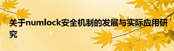 关于numlock安全机制的发展与实际应用研究
