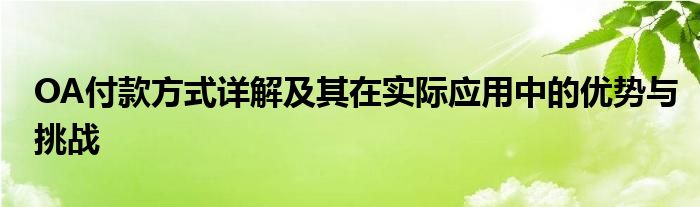 OA付款方式详解及其在实际应用中的优势与挑战