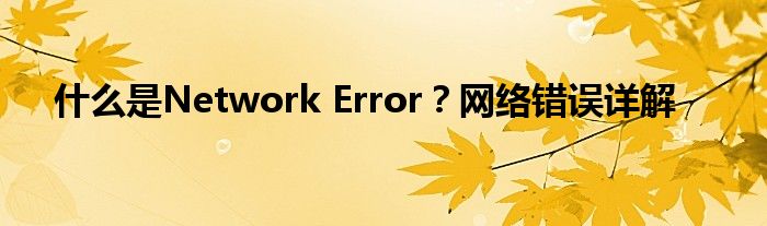 什么是Network Error？网络错误详解