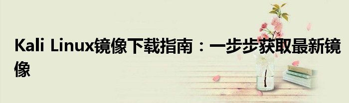 Kali Linux镜像下载指南：一步步获取最新镜像