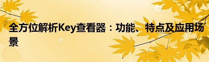 全方位解析Key查看器：功能、特点及应用场景