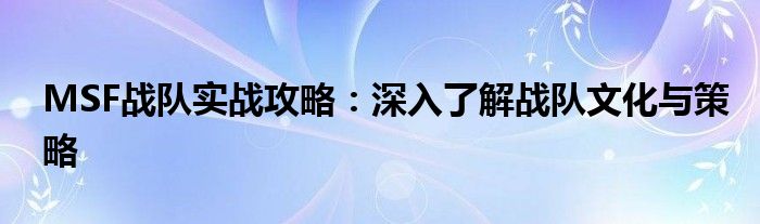 MSF战队实战攻略：深入了解战队文化与策略