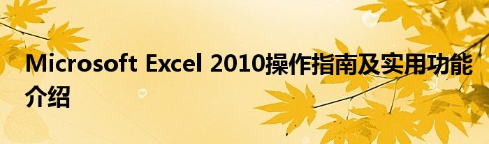 Microsoft Excel 2010操作指南及实用功能介绍