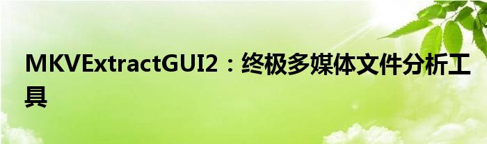 MKVExtractGUI2：终极多媒体文件分析工具
