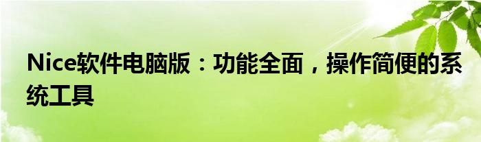 Nice软件电脑版：功能全面，操作简便的系统工具