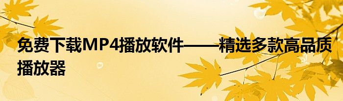 免费下载MP4播放软件——精选多款高品质播放器