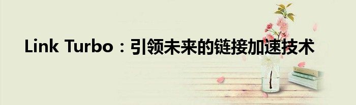 Link Turbo：引领未来的链接加速技术