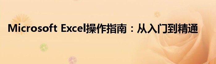 Microsoft Excel操作指南：从入门到精通