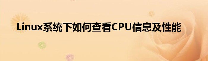 Linux系统下如何查看CPU信息及性能