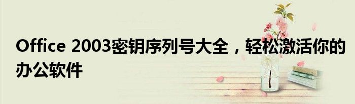 Office 2003密钥序列号大全，轻松激活你的办公软件